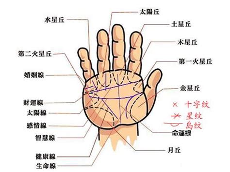 食指下方橫紋|最全最罕見的手相掌紋圖解！